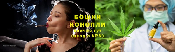 спайс Алексин