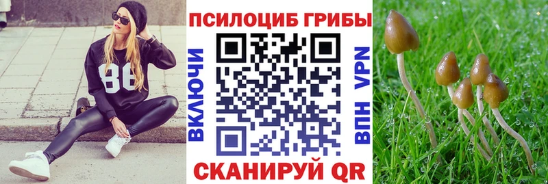 Галлюциногенные грибы прущие грибы Собинка